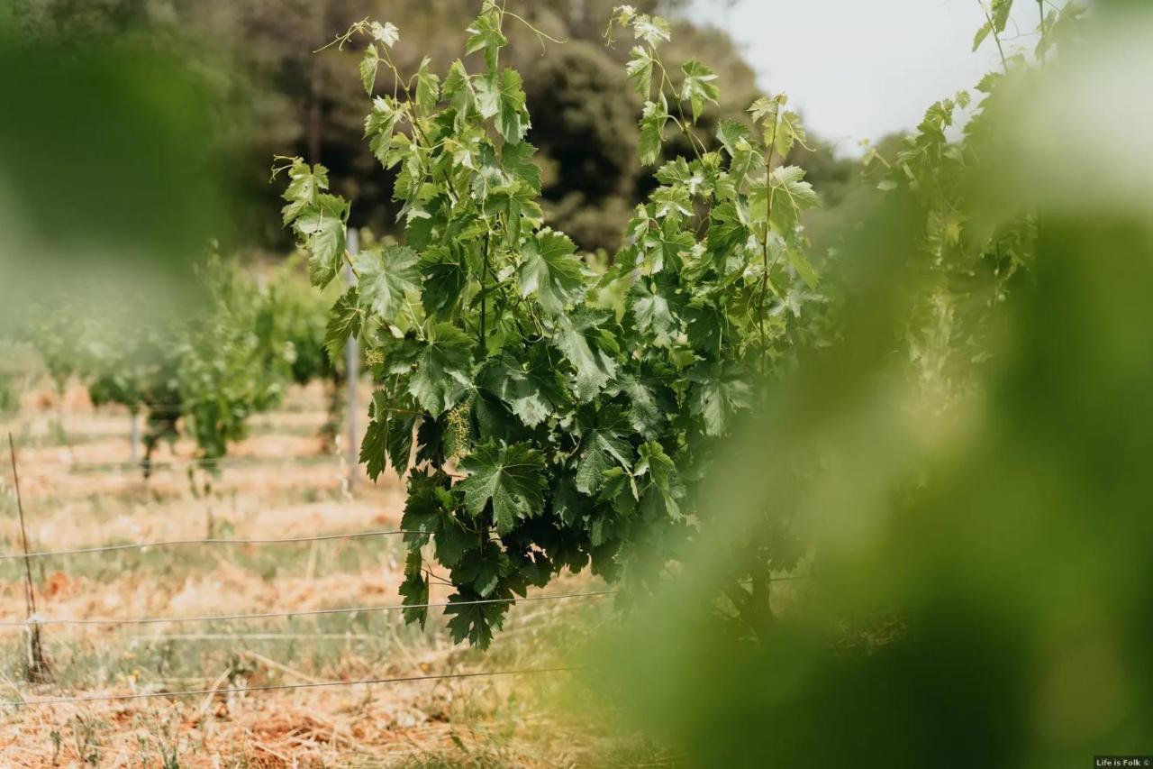 Вилла Domaine Des Bruguieres Entrecasteaux Экстерьер фото